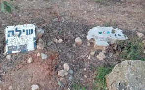 קבר של כלבה בשם שילה