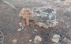 מקום קבורתה של הכלבה טובה בבית קברות לחיות
