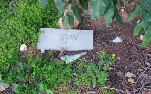 מוקה הכלב נקבר בבית קברות לחיות מחמד במרכז