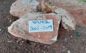 קבר של כלב בשם בוטש