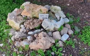 מקום קבורתה של חתולה בשם ג'ינג'ר בבית קברות לחתולים